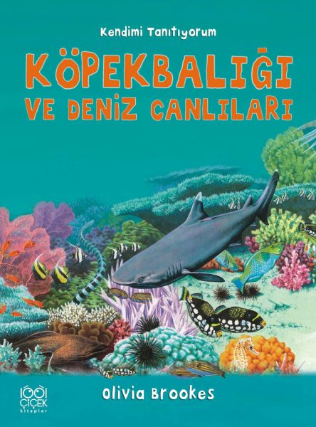 kopekbaligi-ve-deniz-canlilari-kendimi-tanitiyorum