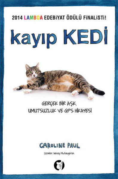 kayip-kedi