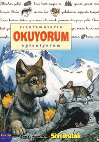 sivrikulak-cikartmalarla-okuyorum-egleniyorum