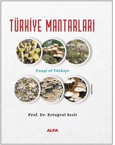 turkiye-mantarlari-ciltli