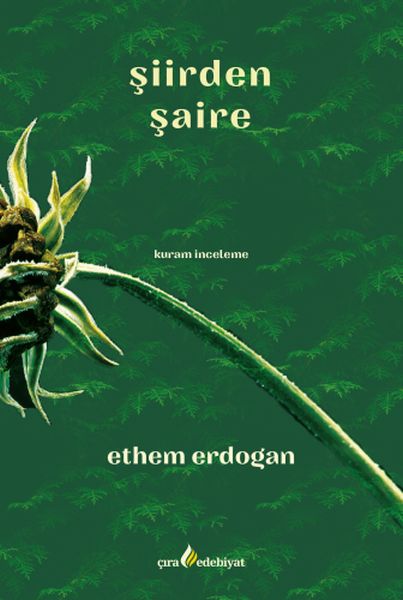 siirden-saire