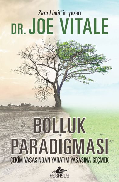 bolluk-paradigmasi