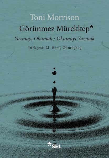 gorunmez-murekkep-yazmayi-okumak-okumayi-yazmak