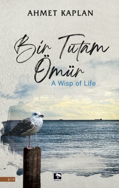 bir-tutam-omur