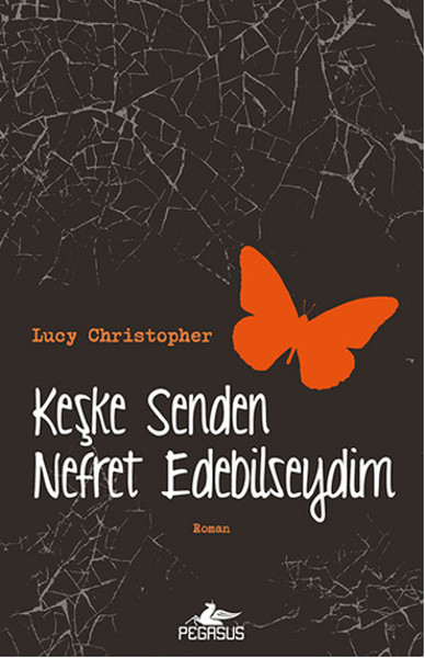 keske-senden-nefret-edebilseydim