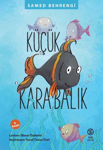 kucuk-kara-balik-45967