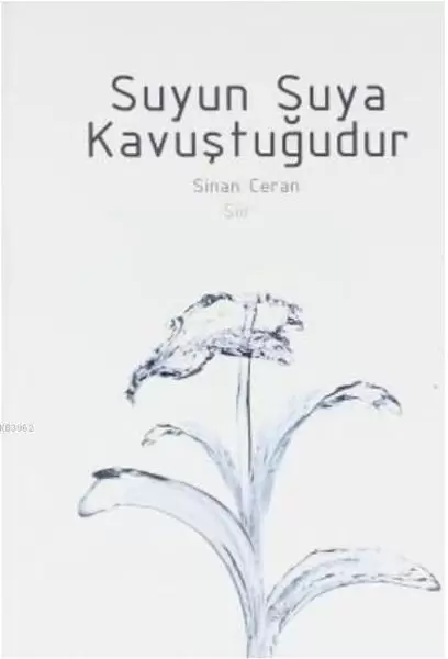 suyun-suya-kavustugudur