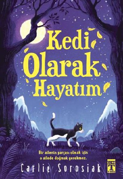 kedi-olarak-hayatim