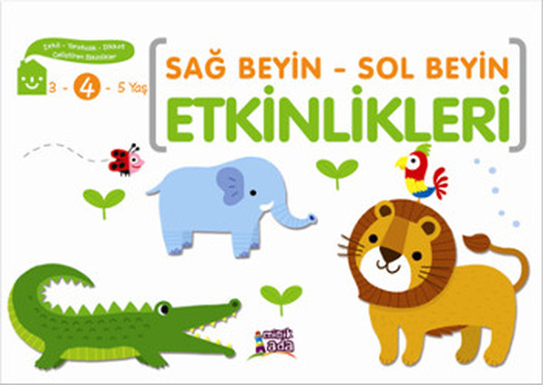 sag-beyin-sol-beyin-etkinlikleri-4-yas