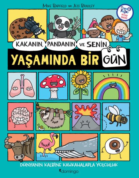 kakanin-pandanin-ve-senin-yasaminda-bir-gun