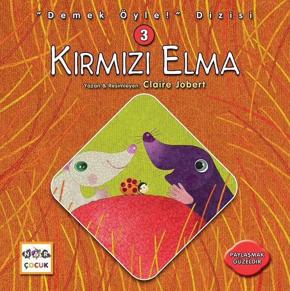 kirmizi-elma-demek-oyle-dizisi-3