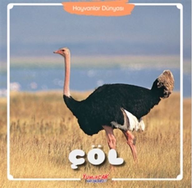 col-hayvanlar-dunyasi