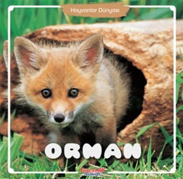 orman-hayvanlar-dunyasi