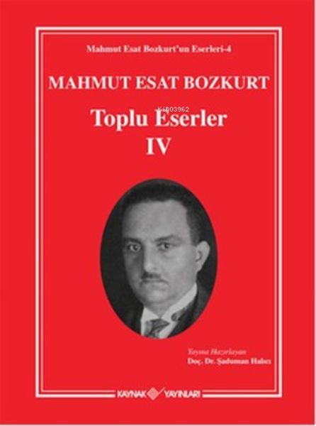 mahmut-esat-bozkurt-toplu-eserler-4