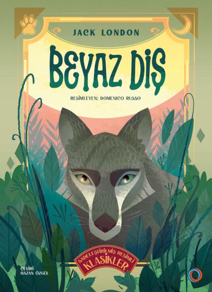 beyaz-dis-94793