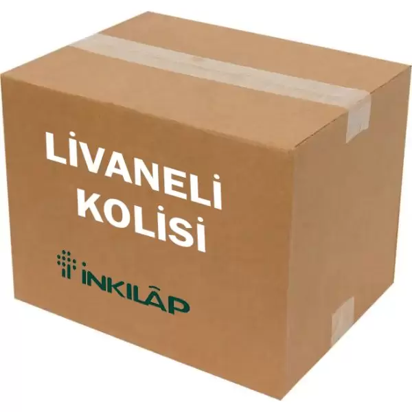 livaneli-kolisi-21-kitap-72-adet