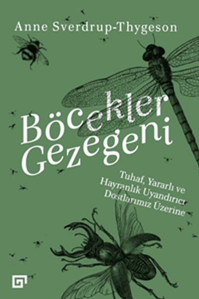 bocekler-gezegeni-tuhaf-yararli-ve-hayranlik-uyandirici-dostlarimiz-uzerine