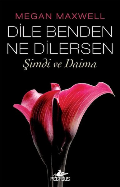 dile-benden-ne-dilersen-simdi-ve-daima