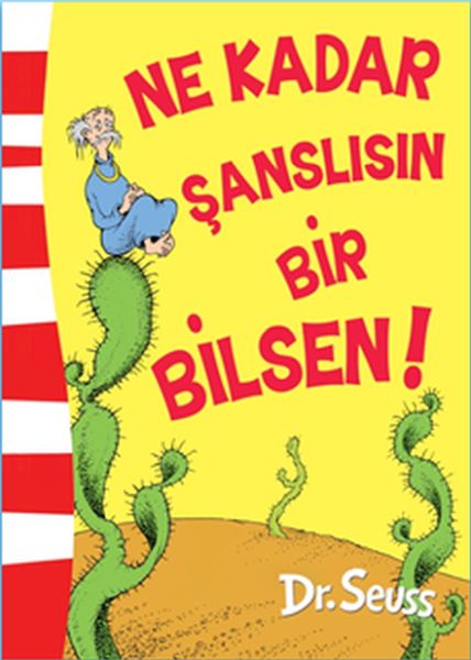 ne-kadar-sanslisin-bir-bilsen