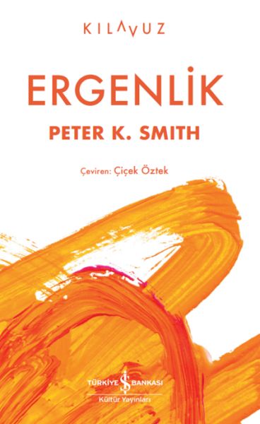 ergenlik