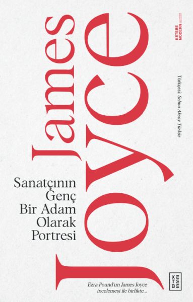 sanatcinin-genc-bir-adam-olarak-portresi