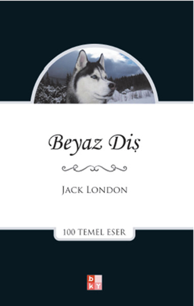 beyaz-dis-42538