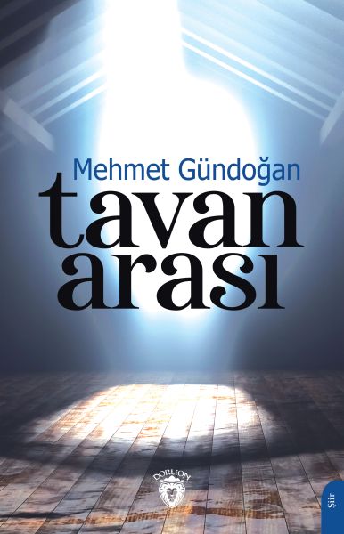 tavan-arasi