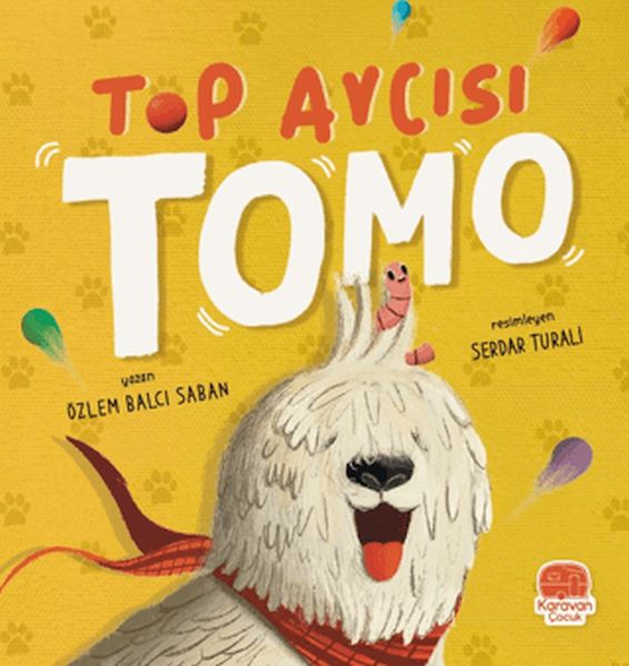 top-avcisi-tomo