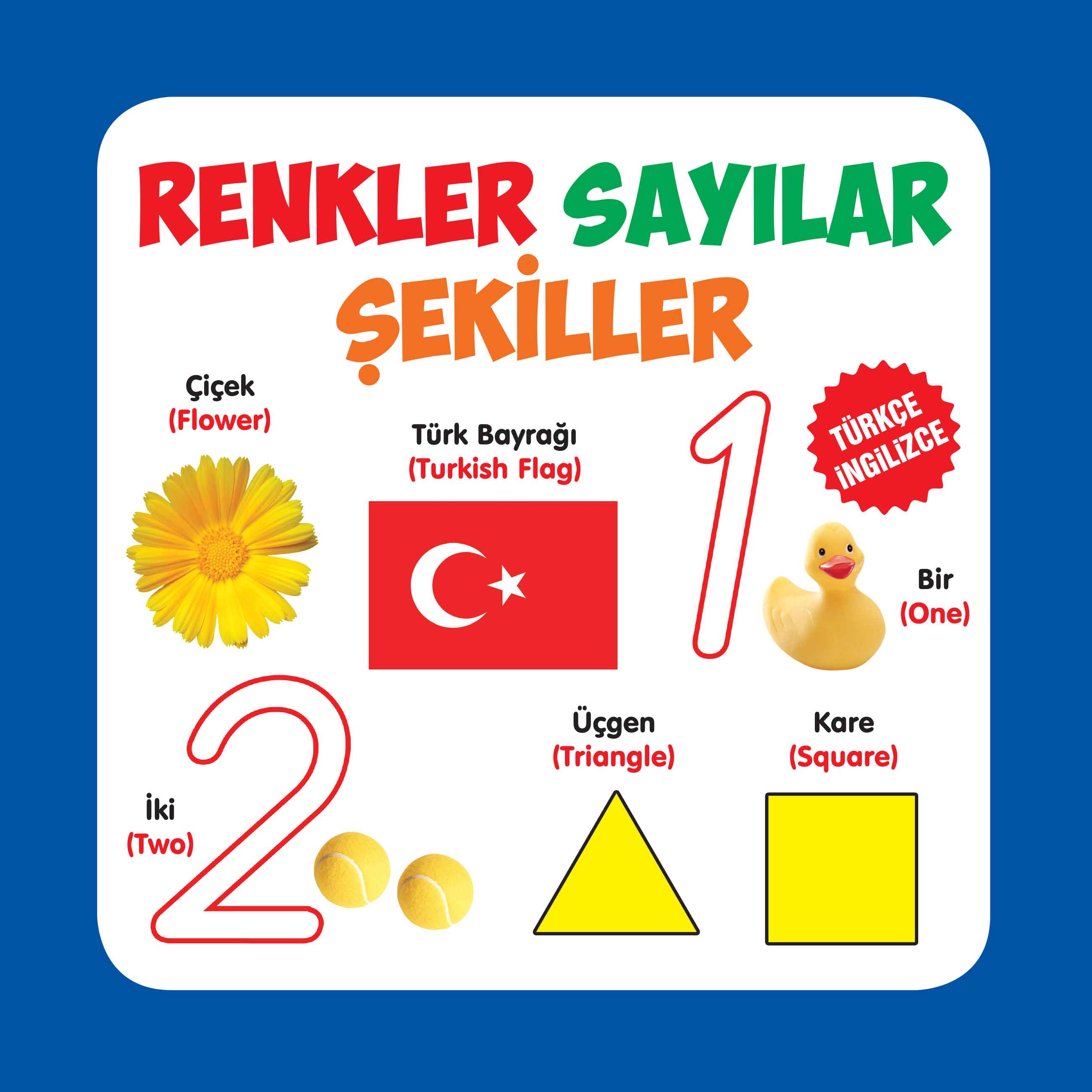 renkler-sayilar-sekiller-turkce-ingilizce