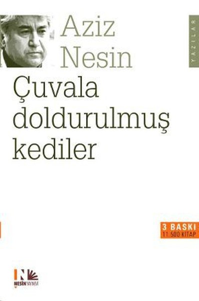 cuvala-doldurulmus-kediler