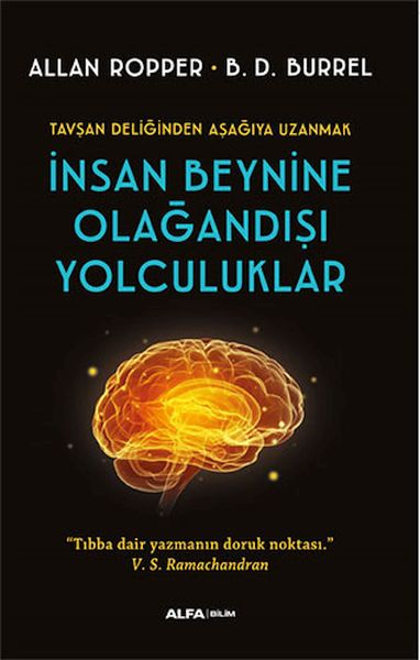 insan-beynine-olagandisi-yolculuklar