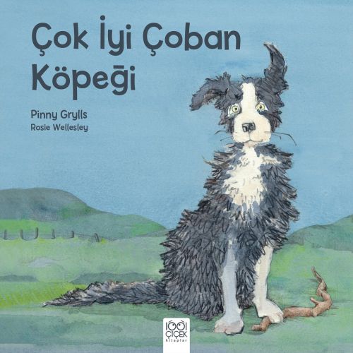 cok-iyi-coban-kopegi