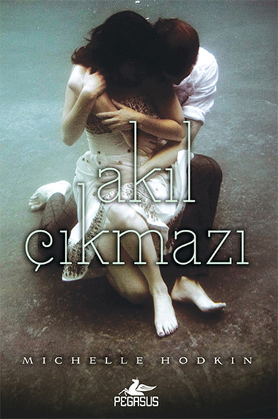 akil-cikmazi