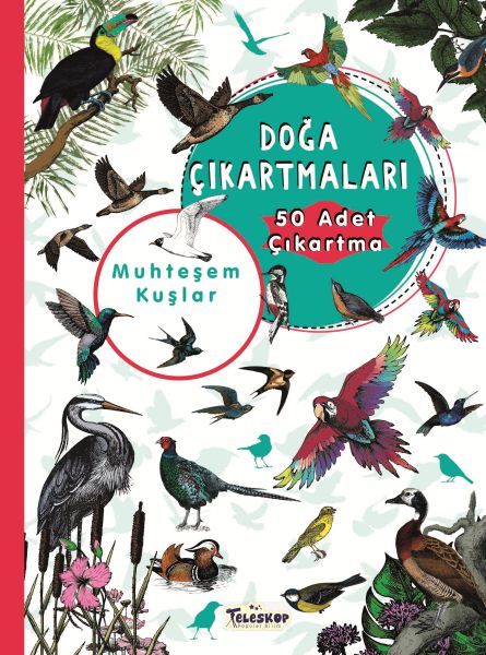 muhtesem-kuslar-doga-cikartmalari