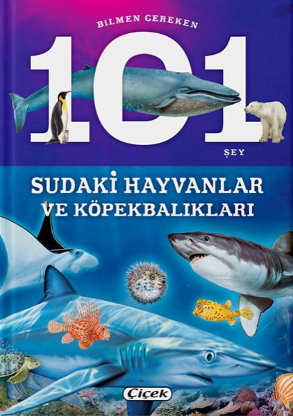 bilmen-gereken-101-sey-sudaki-hayvanlar-ve-kopekbaliklari