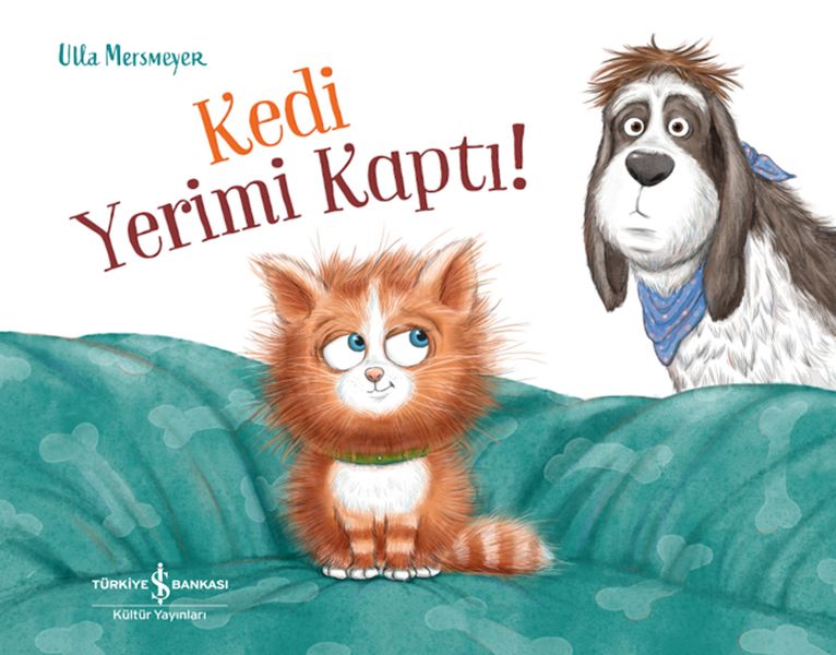 kedi-yerimi-kapti