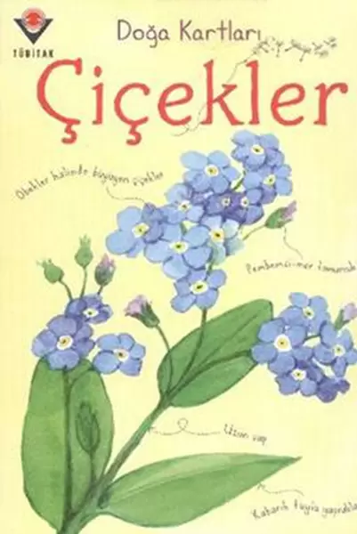 doga-kartlari-cicekler