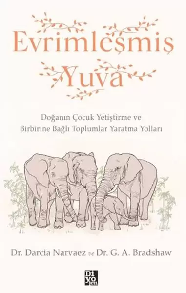 evrimlesmis-yuva
