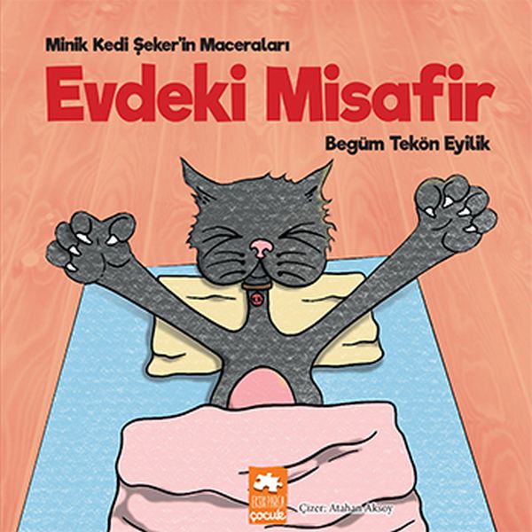 evdeki-misafir-minik-kedi-seker-in-maceralari-224711
