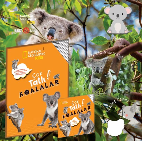 cok-tatli-koalalar-national-geographic-kids