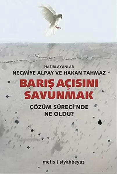 baris-acisini-savunmak-cozum-surecinde-ne-oldu