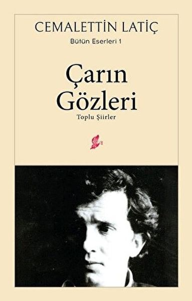 carin-gozleri