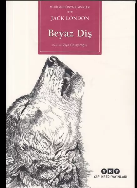 beyaz-dis-167045