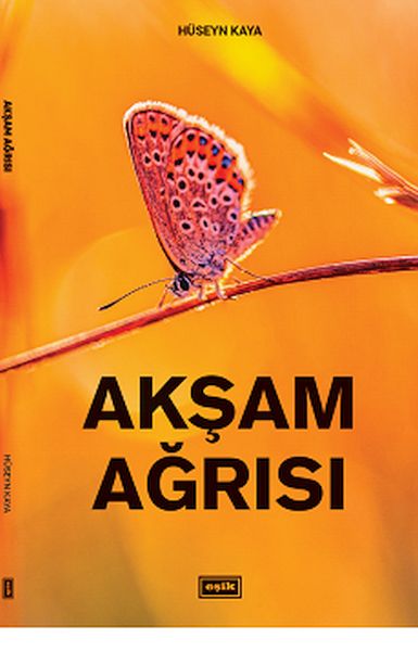 aksam-agrisi