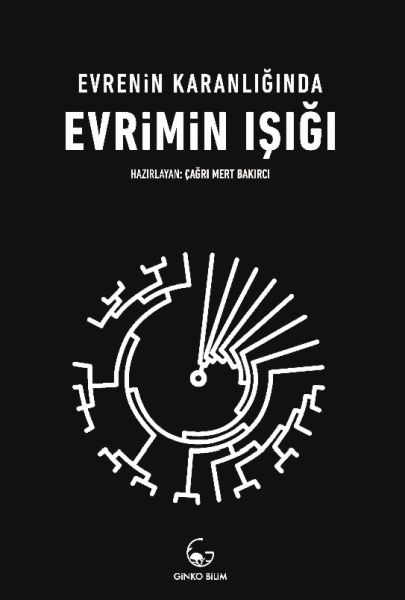 evrenin-karanliginda-evrimin-isigi