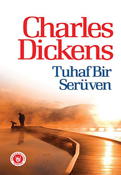 tuhaf-bir-seruven