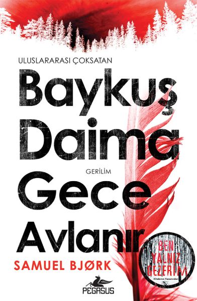 baykus-daima-gece-avlanir