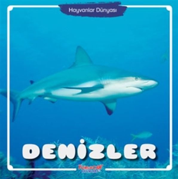 denizler-hayvanlar-dunyasi