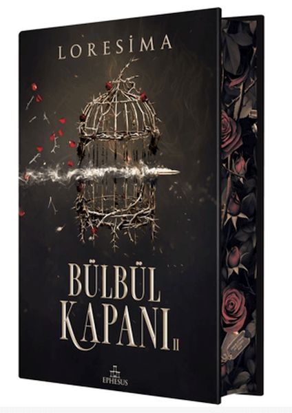 bulbul-kapani-2-yan-boyamali-ciltli