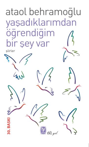 yasadiklarimdan-ogrendigim-bir-sey-var